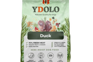 Ydolo Duck