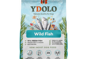 Ydolo Wild Fish